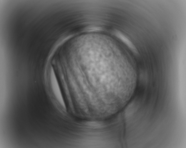 X0000092101418200709262133