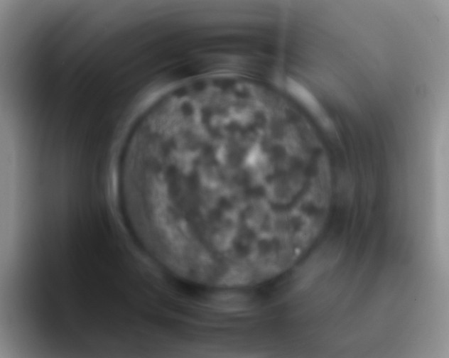 X0000092101419200709262133