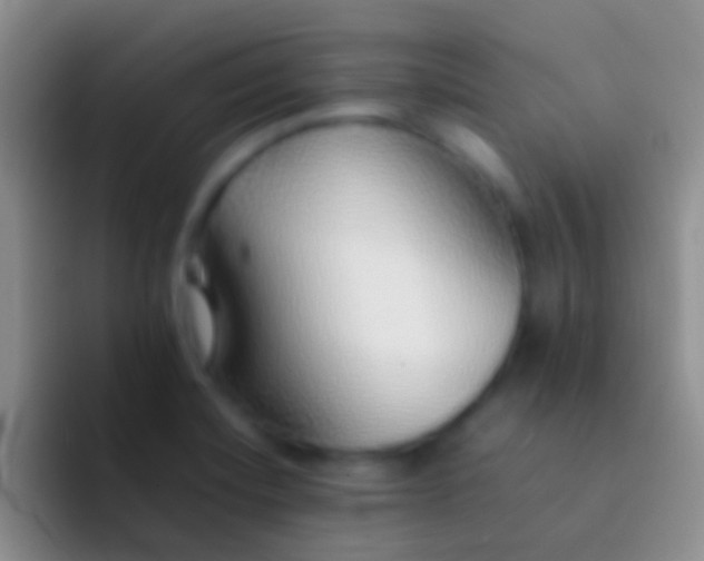 X0000092101420200709262133