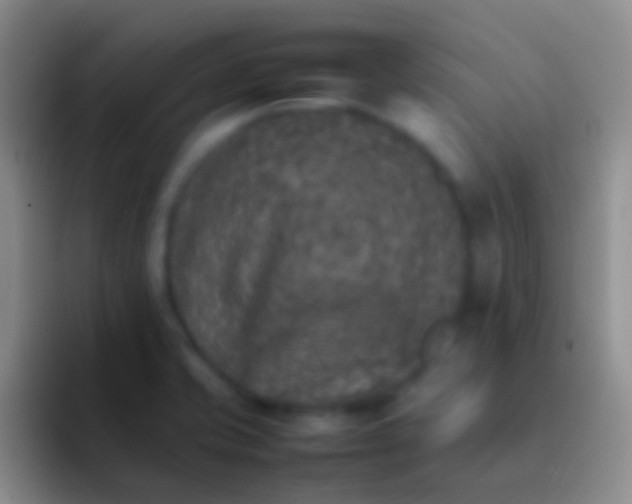 X0000092101421200709262133