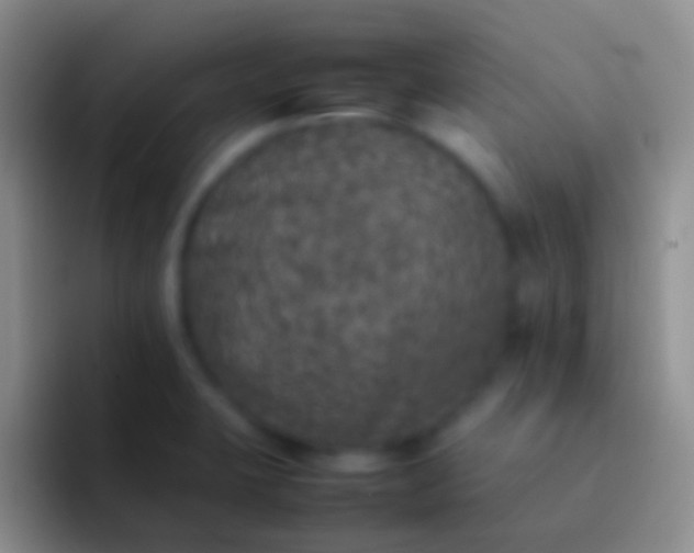 X0000092101423200709262133