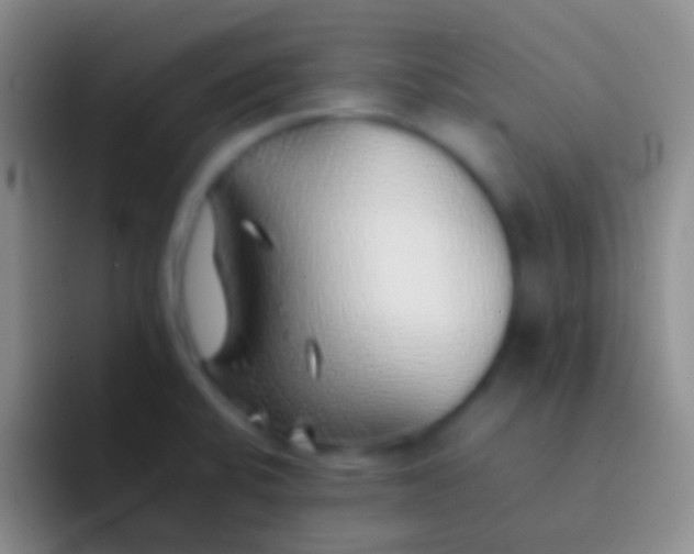 X0000092101424200709262133