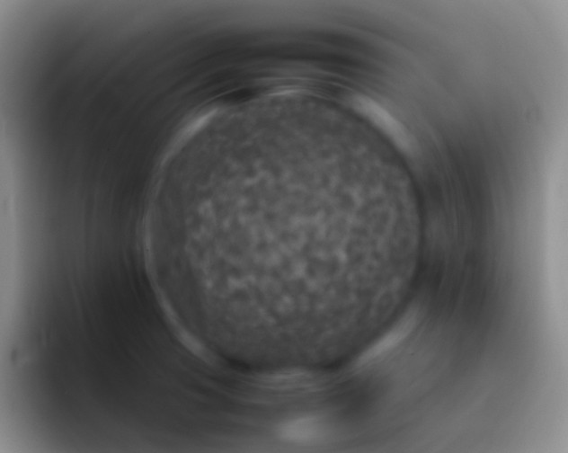 X0000092101425200709262133