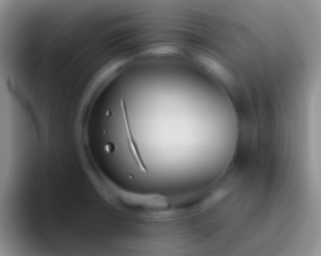 X0000092101426200709262133