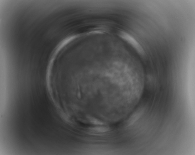 X0000092101427200709262133