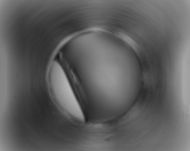 X0000092101428200709262133