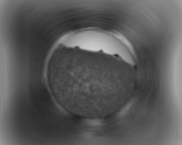 X0000092101429200709262133