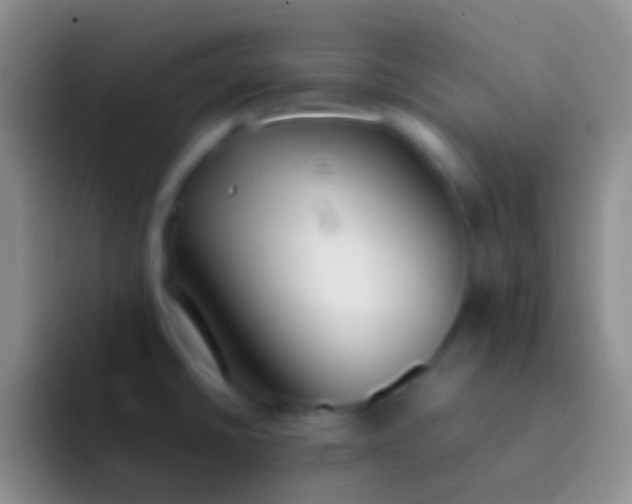 X0000092101430200709262133