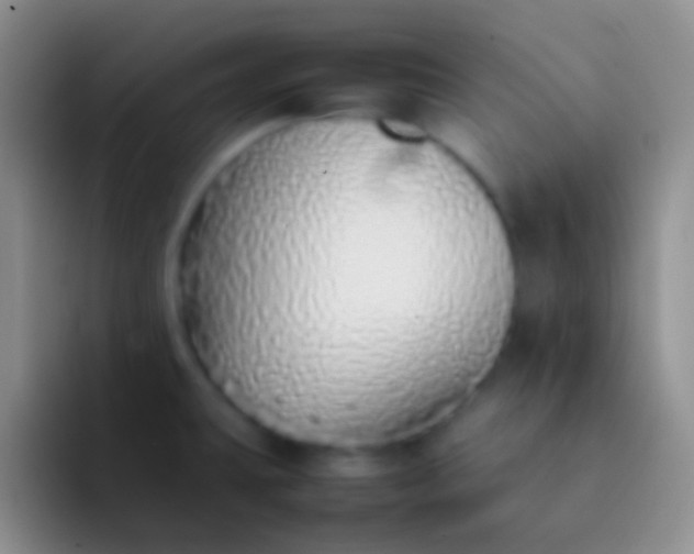 X0000092101431200709262133