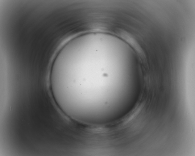 X0000092101432200709262133