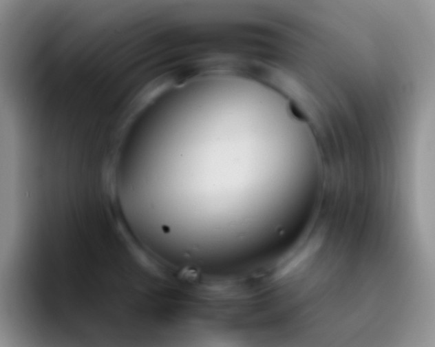 X0000092101433200709262133