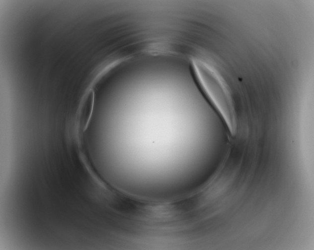 X0000092101434200709262133