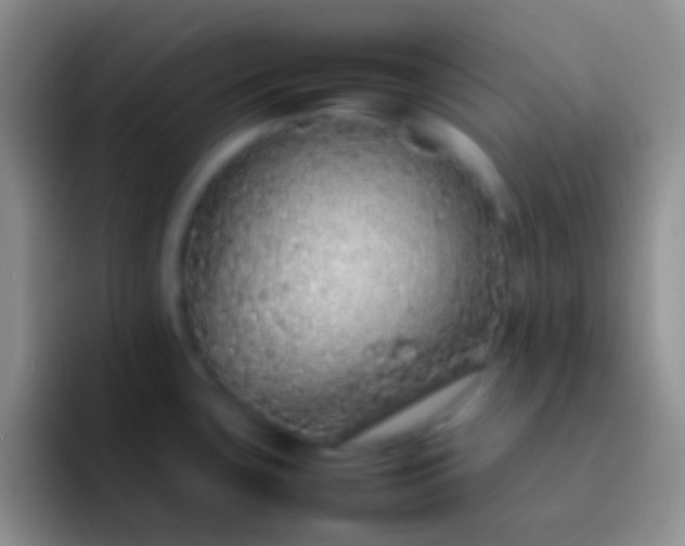 X0000092101435200709262133