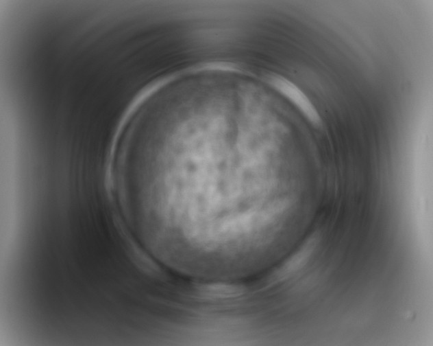 X0000092101436200709262133