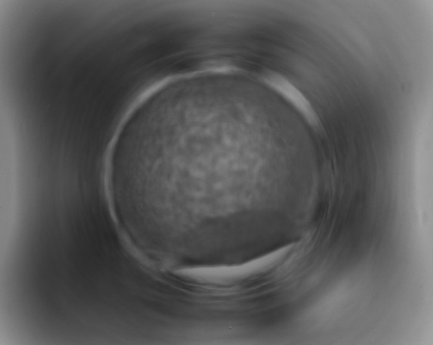 X0000092101439200709262133