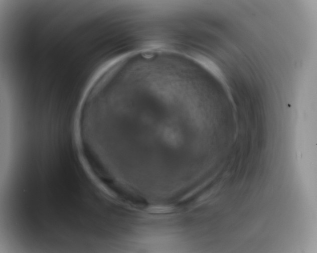 X0000092101440200709262133