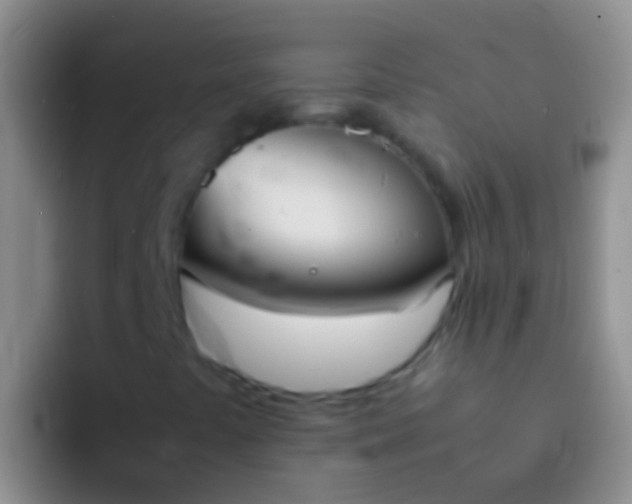 X0000092101441200709262133