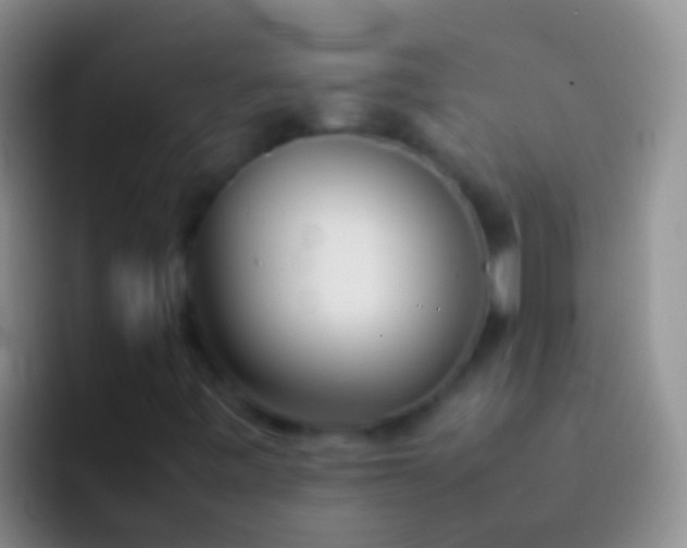 X0000092101443200709262133