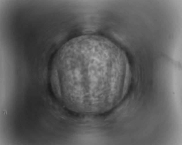 X0000092101445200709262133