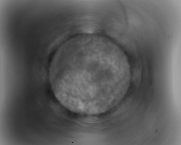 X0000092101446200709262133