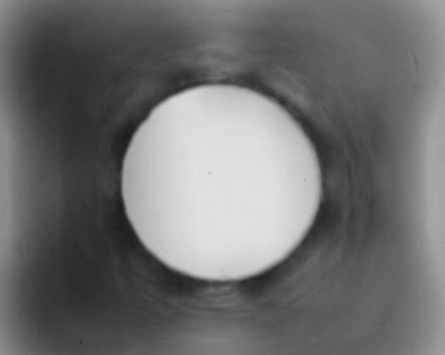 X0000092101447200709262133