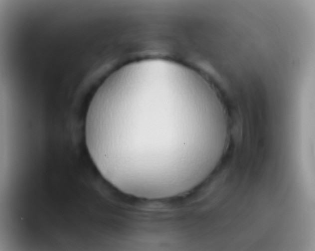 X0000092101448200709262133