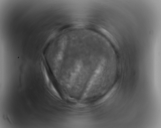 X0000092101449200709262133