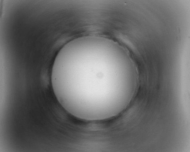 X0000092101451200709262133