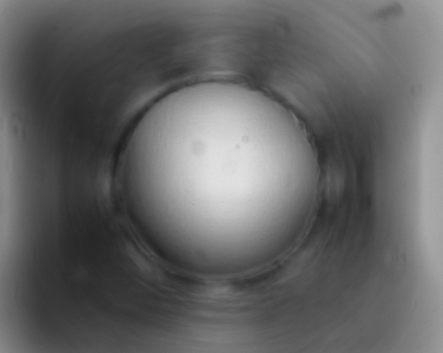 X0000092101452200709262132