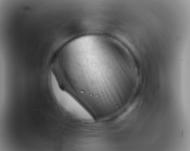 X0000092101453200709262132