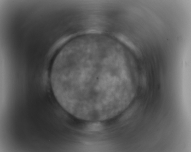 X0000092101454200709262132