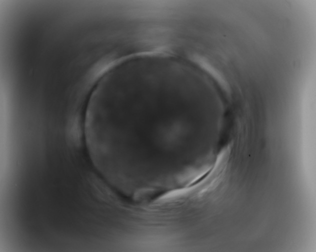 X0000092101455200709262132