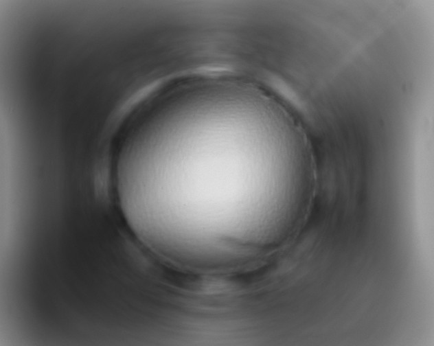 X0000092101456200709262132