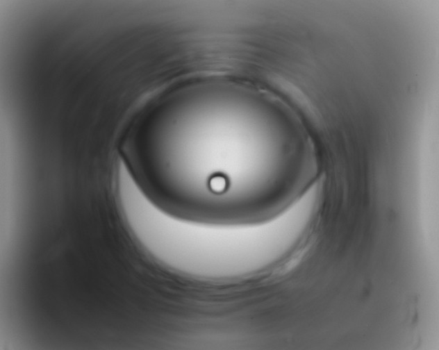 X0000092101457200709262132