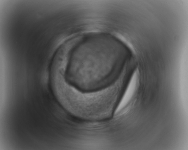 X0000092101459200709262132