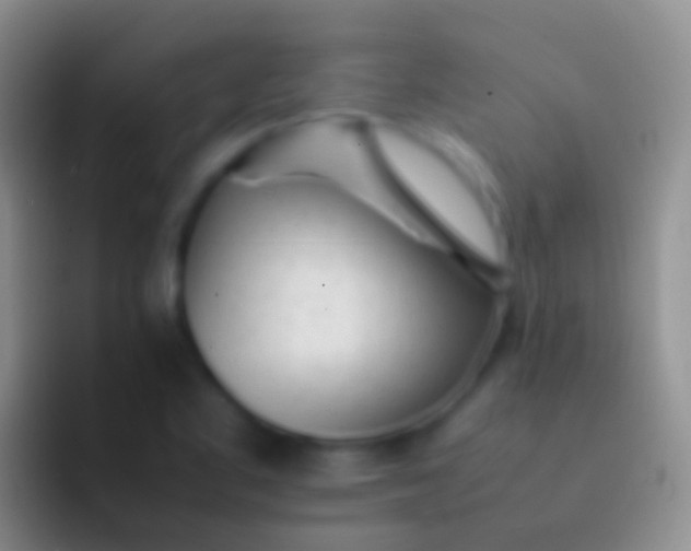 X0000092101461200709262132