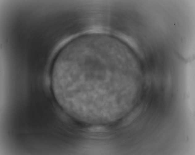 X0000092101462200709262132