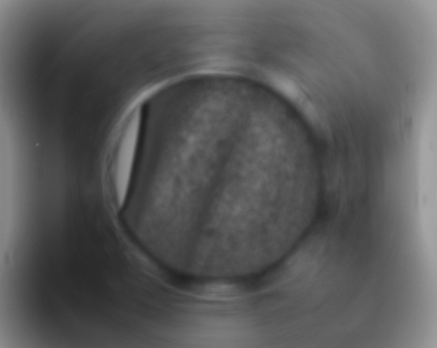 X0000092101463200709262132