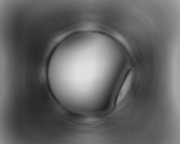 X0000092101464200709262132