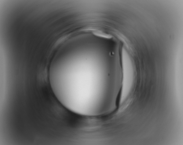 X0000092101465200709262132