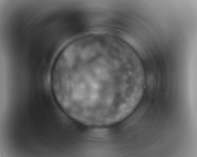 X0000092101466200709262132