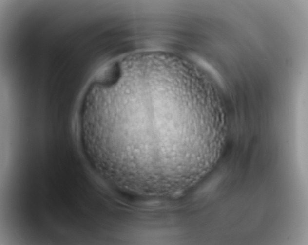 X0000092101467200709262132