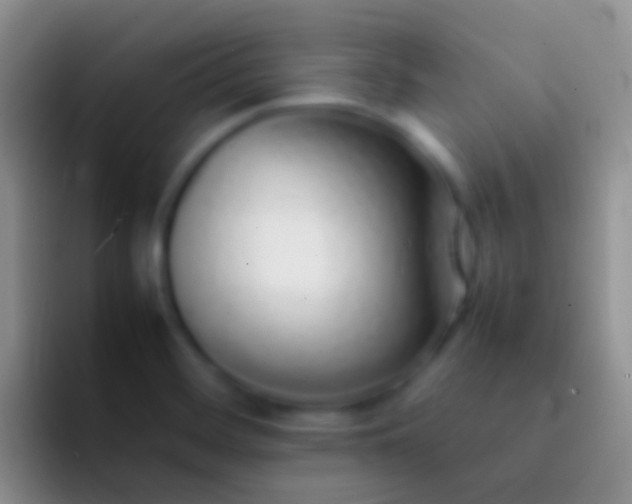 X0000092101468200709262132