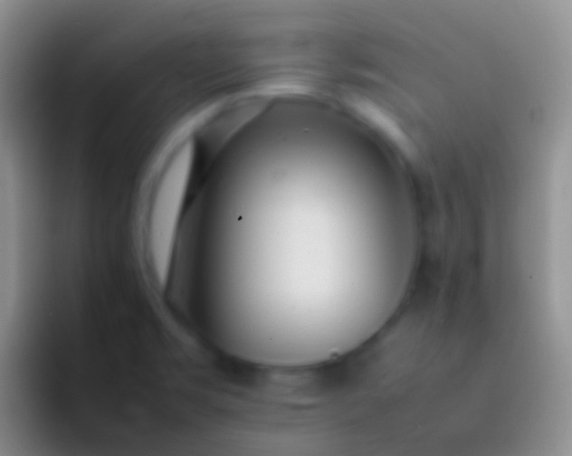 X0000092101469200709262132