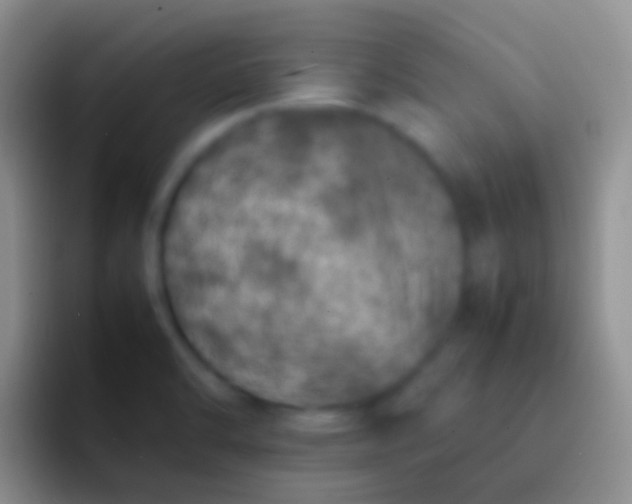 X0000092101470200709262132