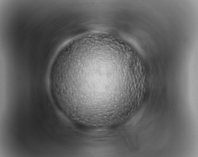 X0000092101471200709262132