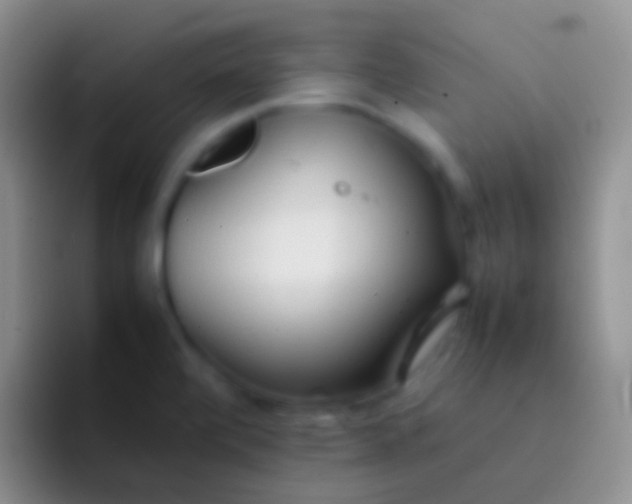 X0000092101472200709262132