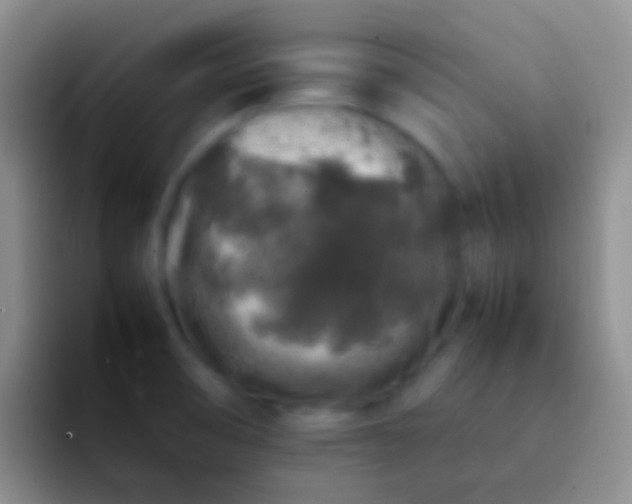 X0000092101474200709262132