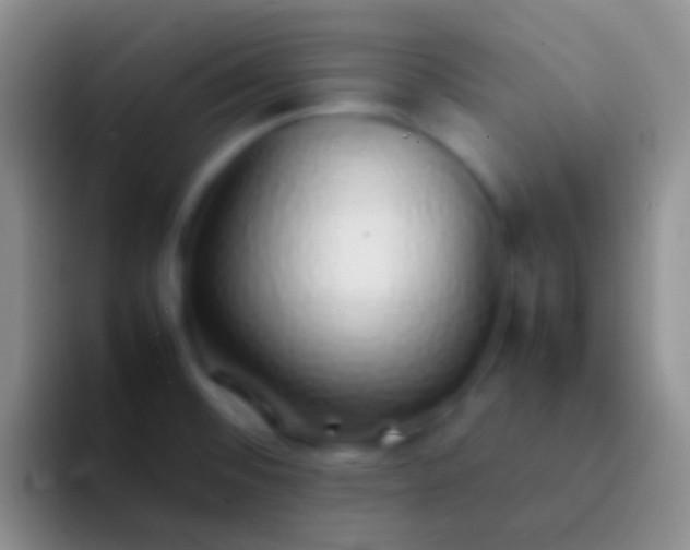 X0000092101476200709262132