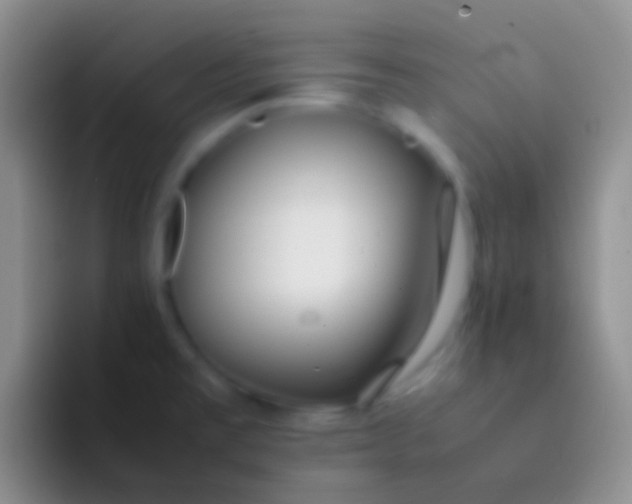 X0000092101477200709262132